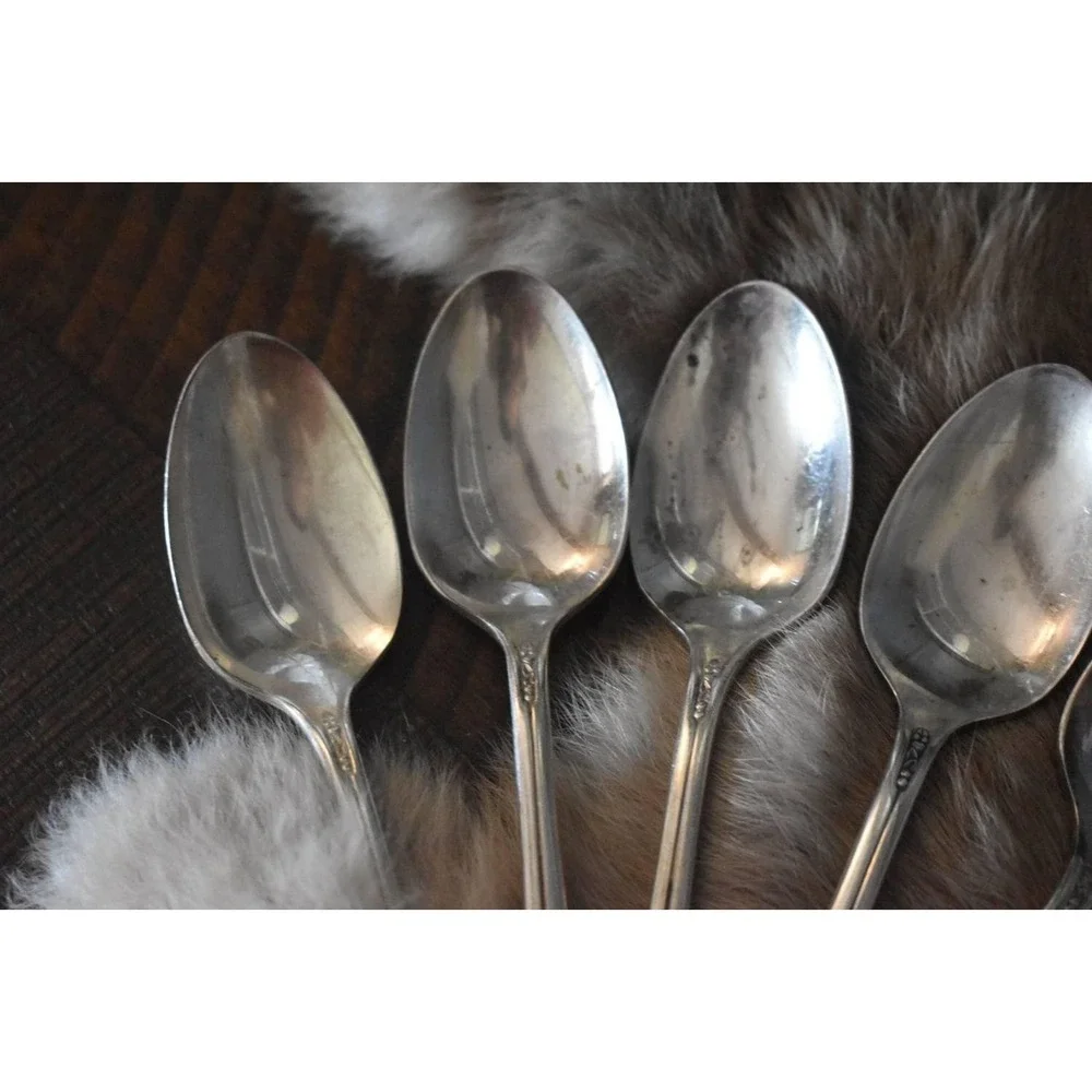Six WM‎ Rogers Pricilla-ladyann teaspoons Original Rogers silverplate flatware